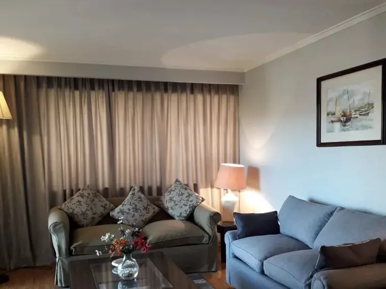 Departamento amoblado en arriendo en Providencia — Metro Pedro De Valdivia / Andres De Fuenzalida / 1 Dorm + 1 Baño