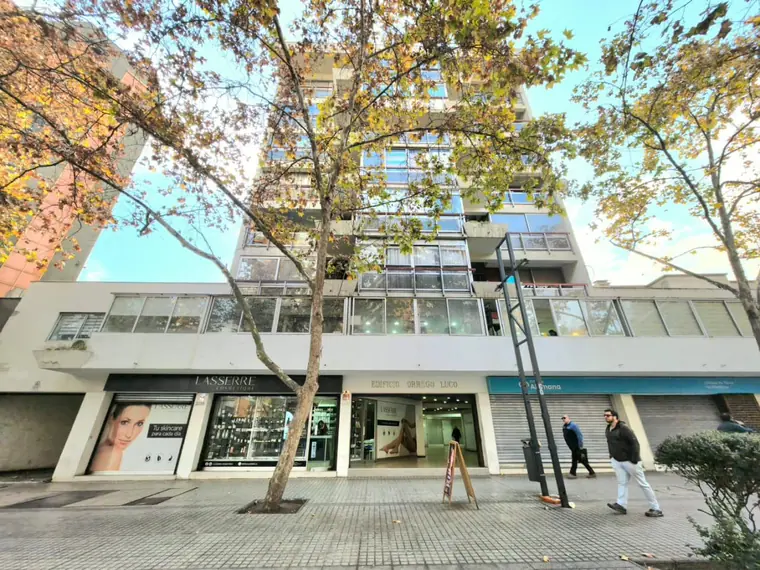 Departamento amoblado en arriendo amoblado en Providencia — Nueva Providencia / P De Valdivia / Pje Orrego Luco