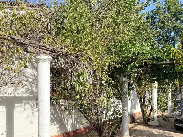 Parcela en venta en La Pintana — Parcela En Venta El Olivar, Huertos Jose Maza De La Pintana