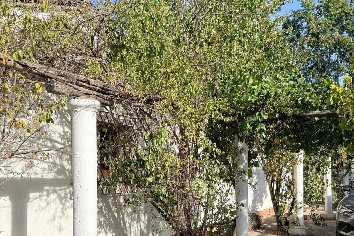 Parcela en venta en La Pintana — Parcela En Venta El Olivar, Huertos Jose Maza De La Pintana